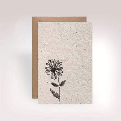 seed paper