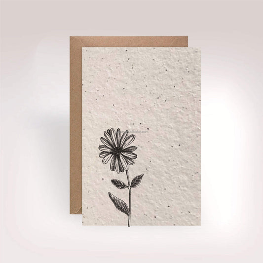 seed paper